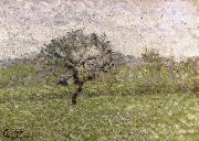 Apple Camille Pissarro